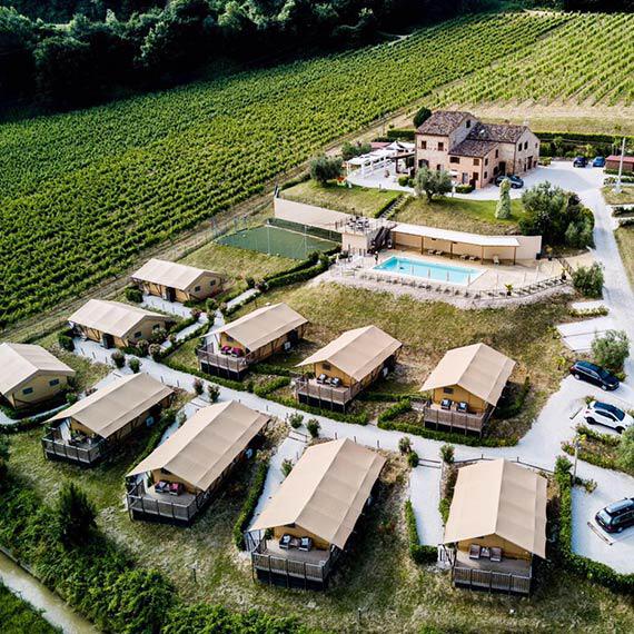 Uitzicht over de wijnvelden van Le Marche